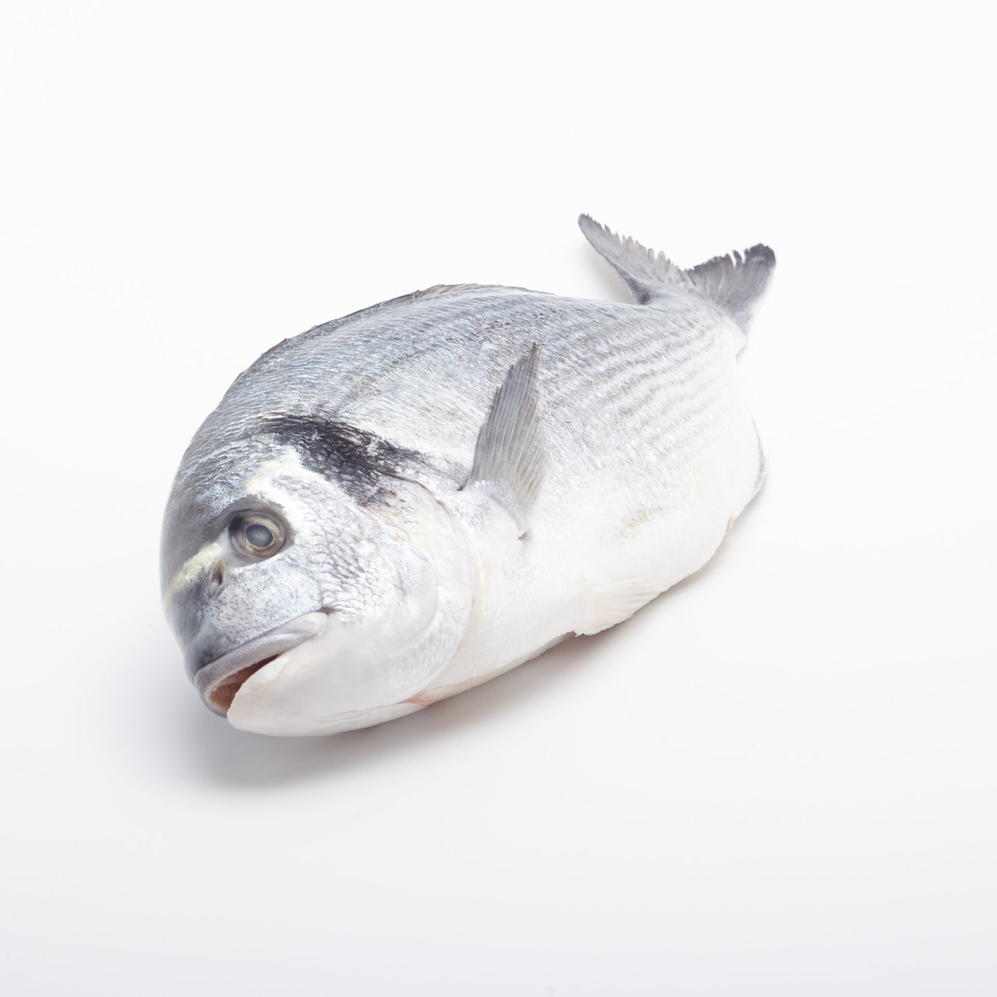 BIO Pražma kráľovská. 100g