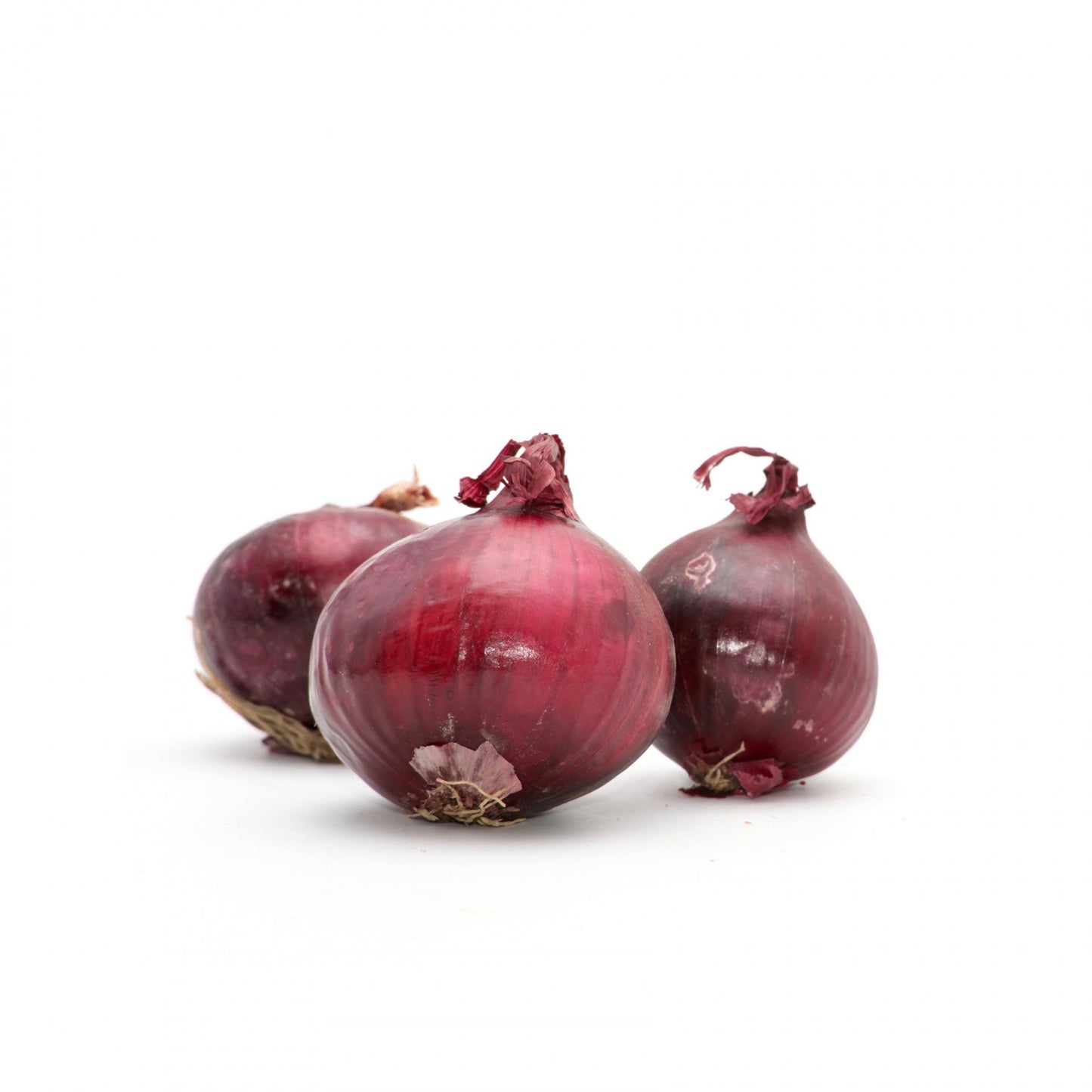 Cibuľa červená BIO. kg