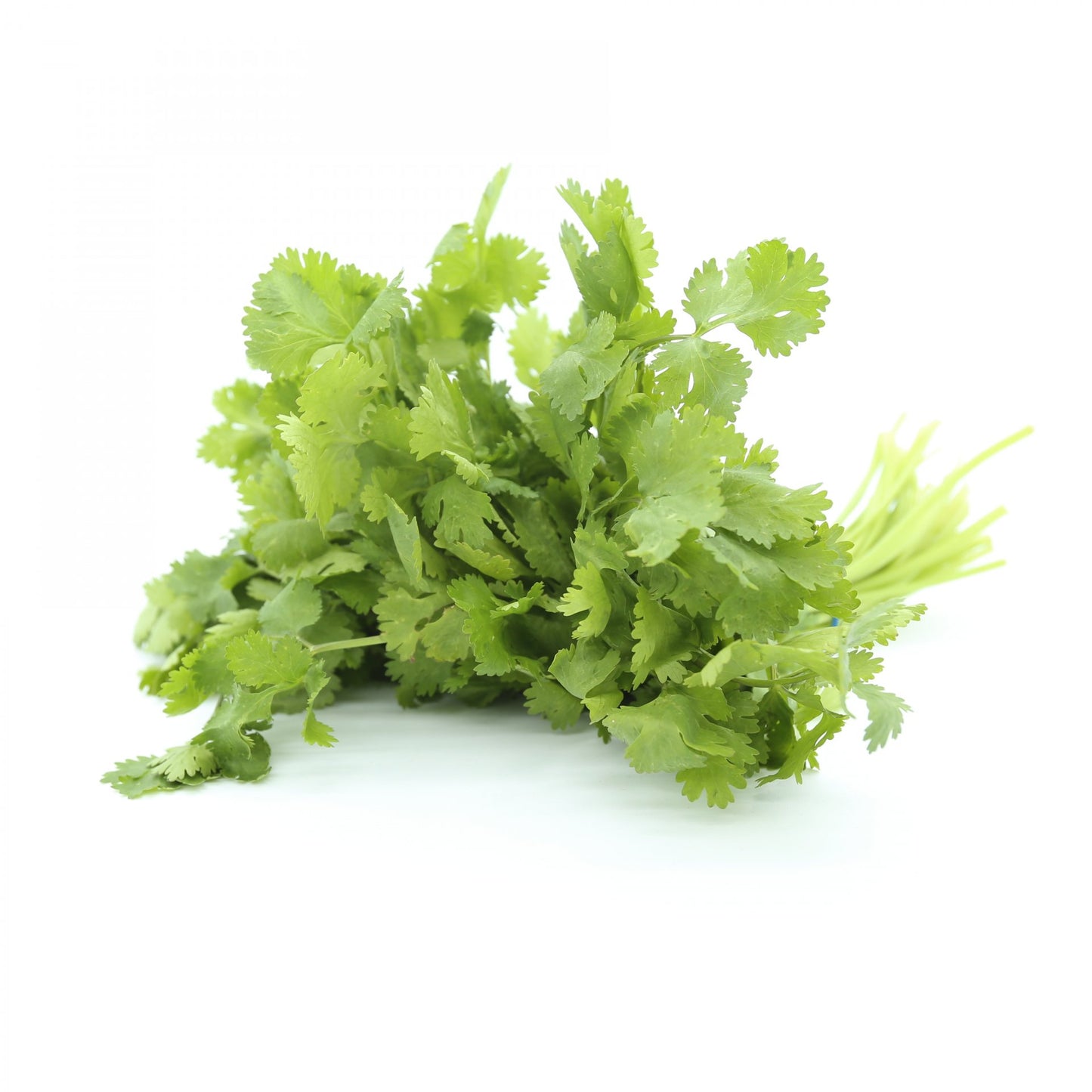 Koriander voľný. 100g