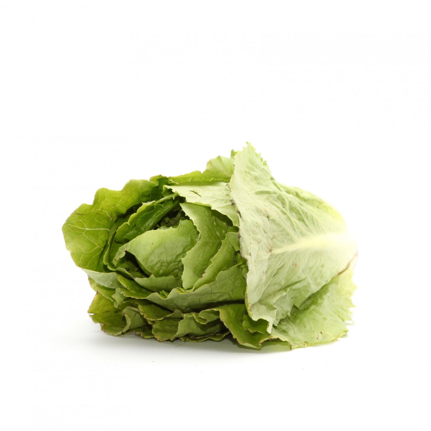 Rímsky šalát kg. kg