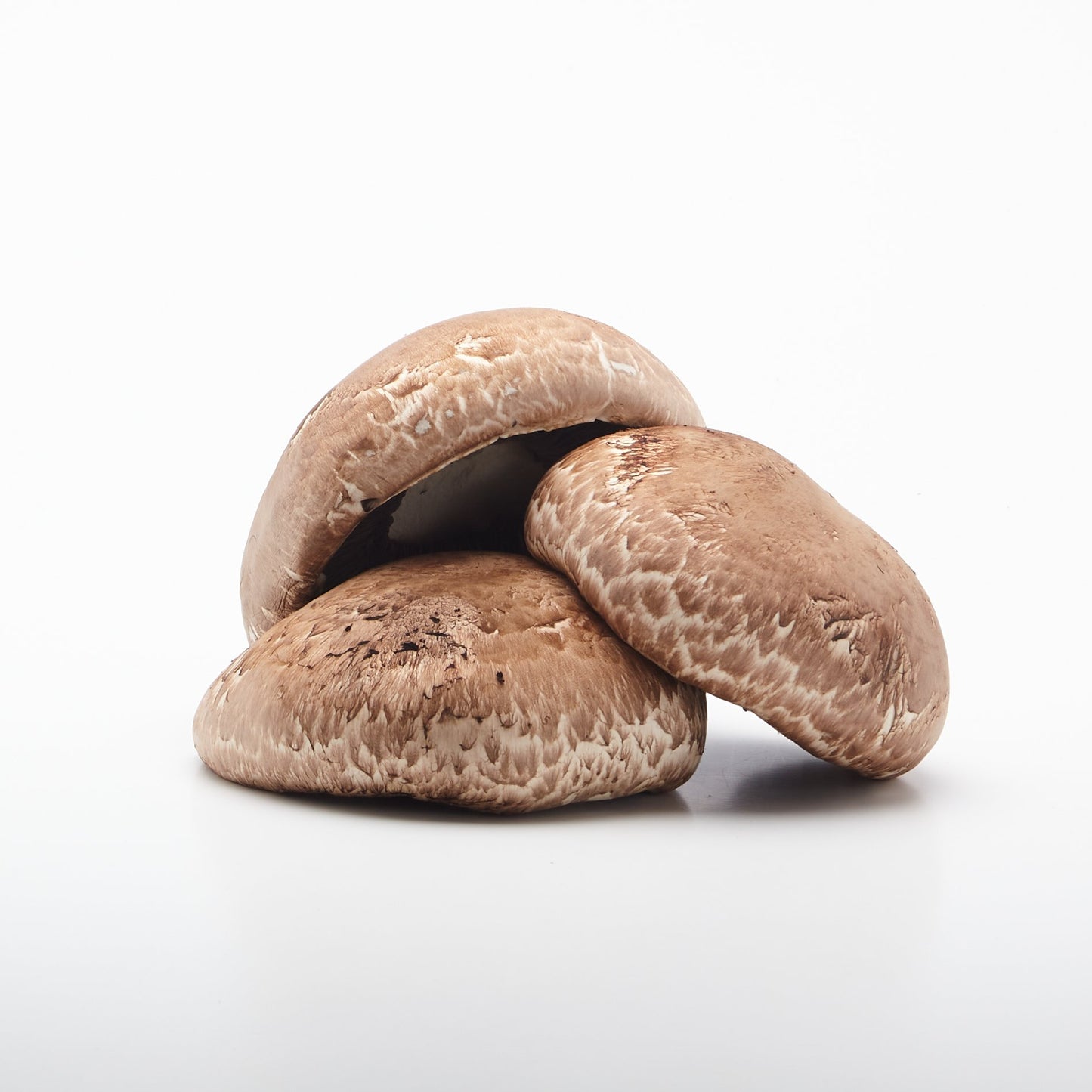 BIO Šampiňóny Portobello. 100g