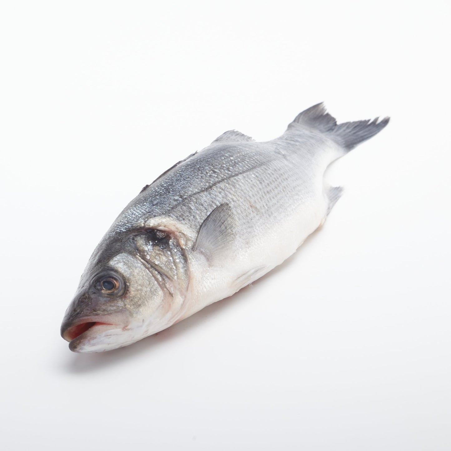 BIO Morský vlk. 100g