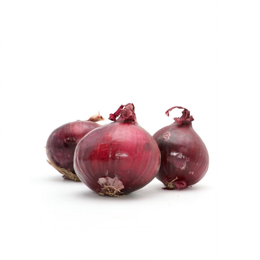 Cibuľa červená BIO. kg