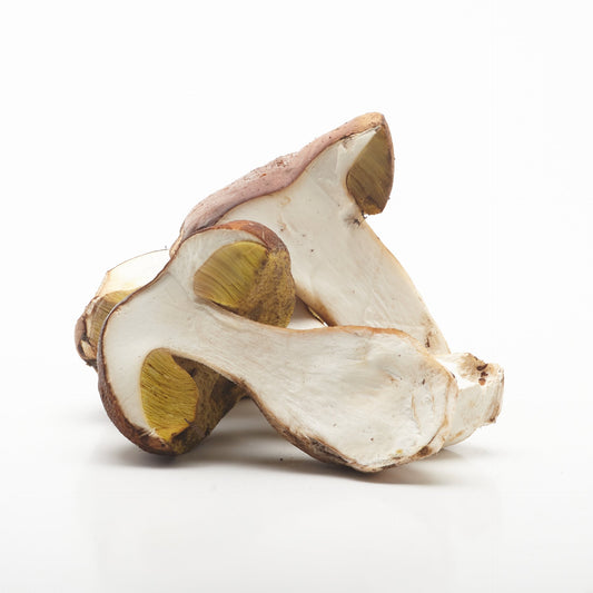 Dubáky zo slovenských lesov. 100g