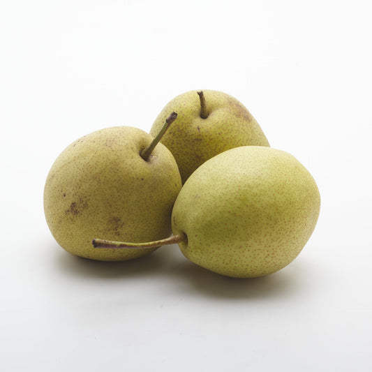 Hruška Nashi.