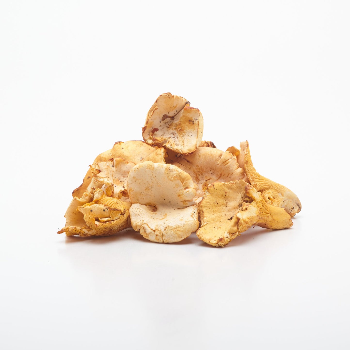 Kuriatka jedlé. 100g