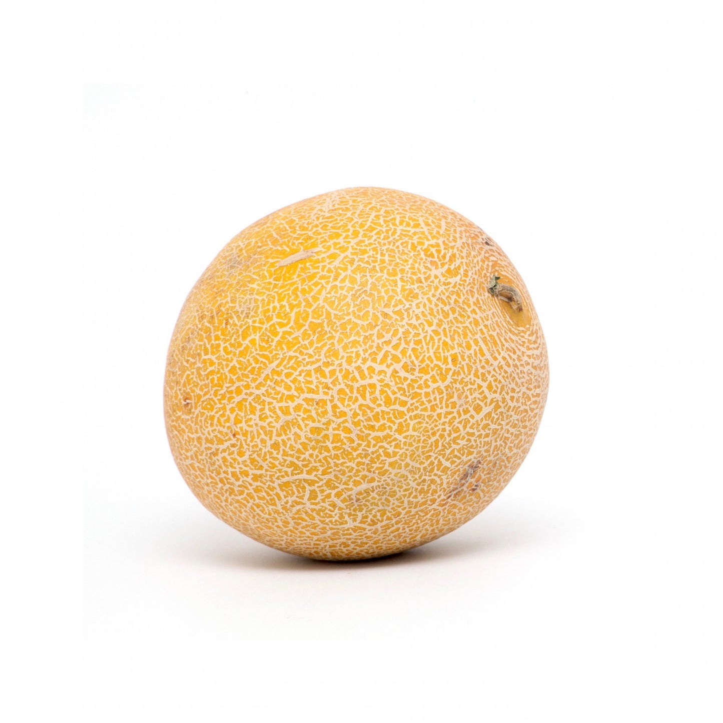 Melón Galia.