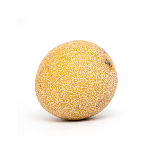 Melón Galia.
