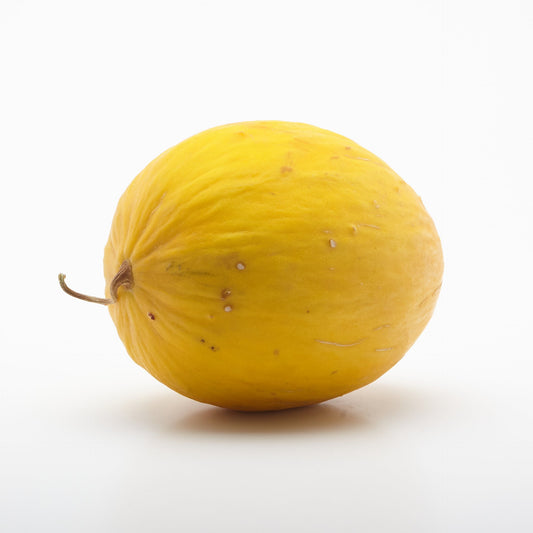 Melón žltý Honey Dew.