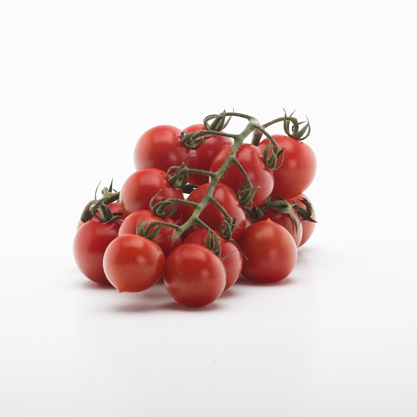 Paradajky cherry Tramezzino. kg