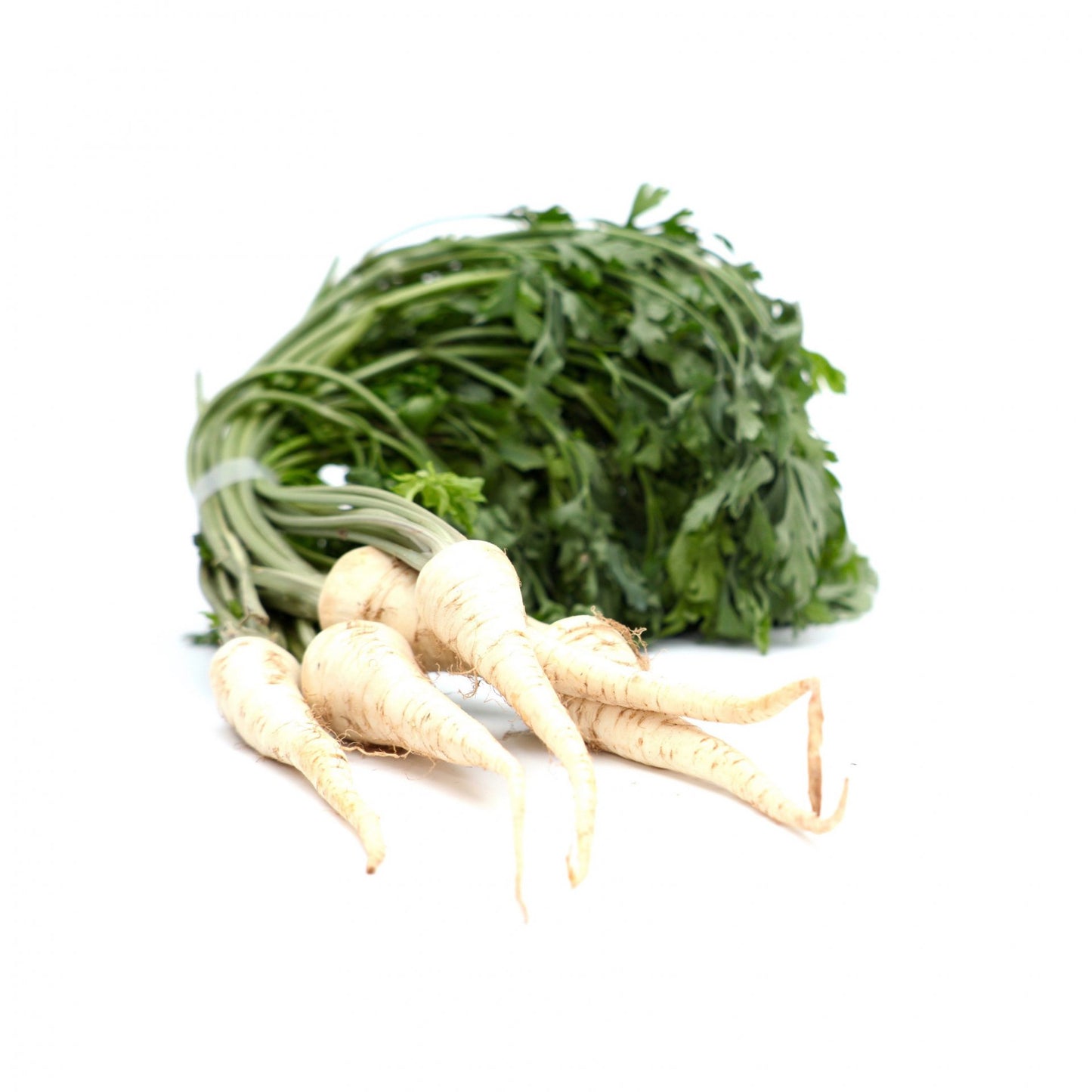 Petržlen s vňaťou.