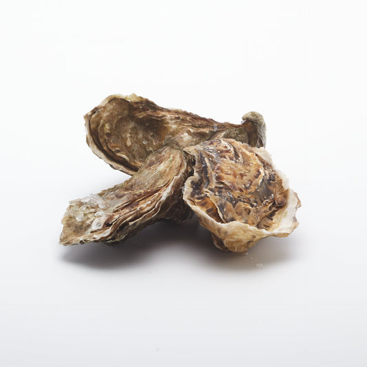 Ustrice "fine de claire" živé.