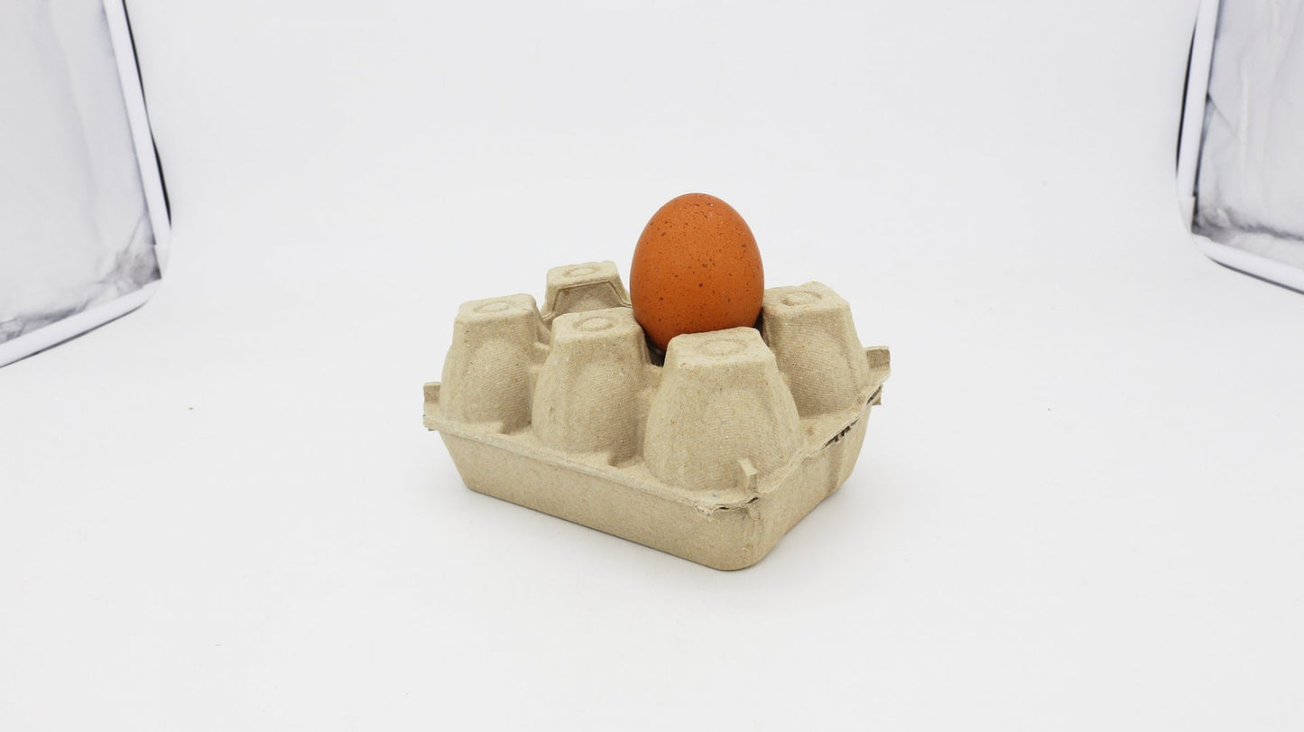 Vajíčko z voľného výbehu 1ks.